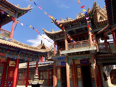 爱加速-资讯