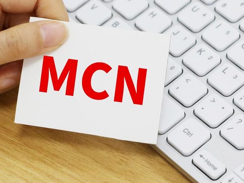 MCN机构