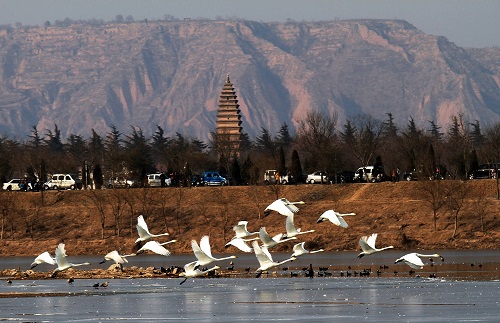 三门峡