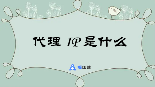 代理ip