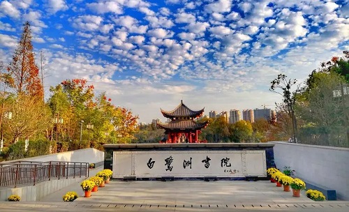 爱加速-资讯
