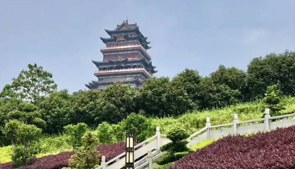 爱加速-资讯