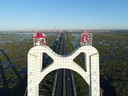 爱加速-资讯