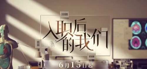 入职后的我们