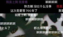 爱加速-资讯