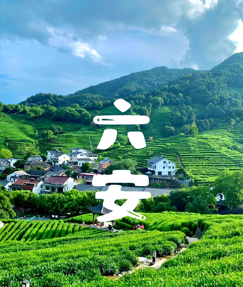爱加速-资讯